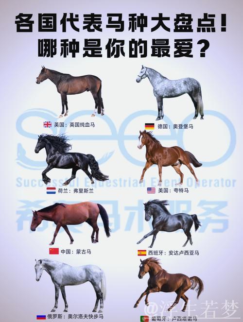 赛前探析——优良马匹与顶级马厩的完美配搭 赛前探析——优良马匹与顶级马厩的完美配搭